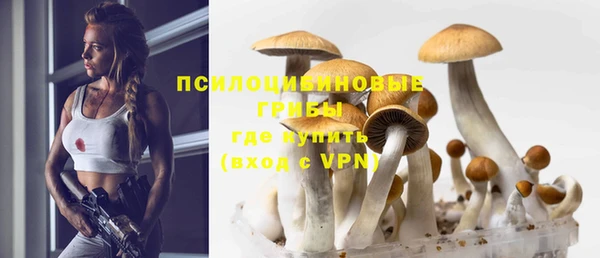 a pvp Армянск